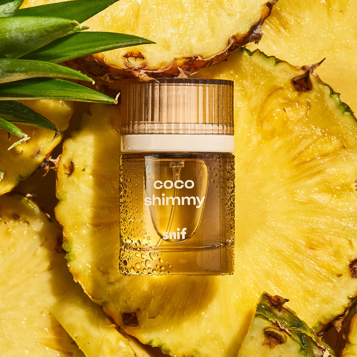 Coco Shimmy - Image 5