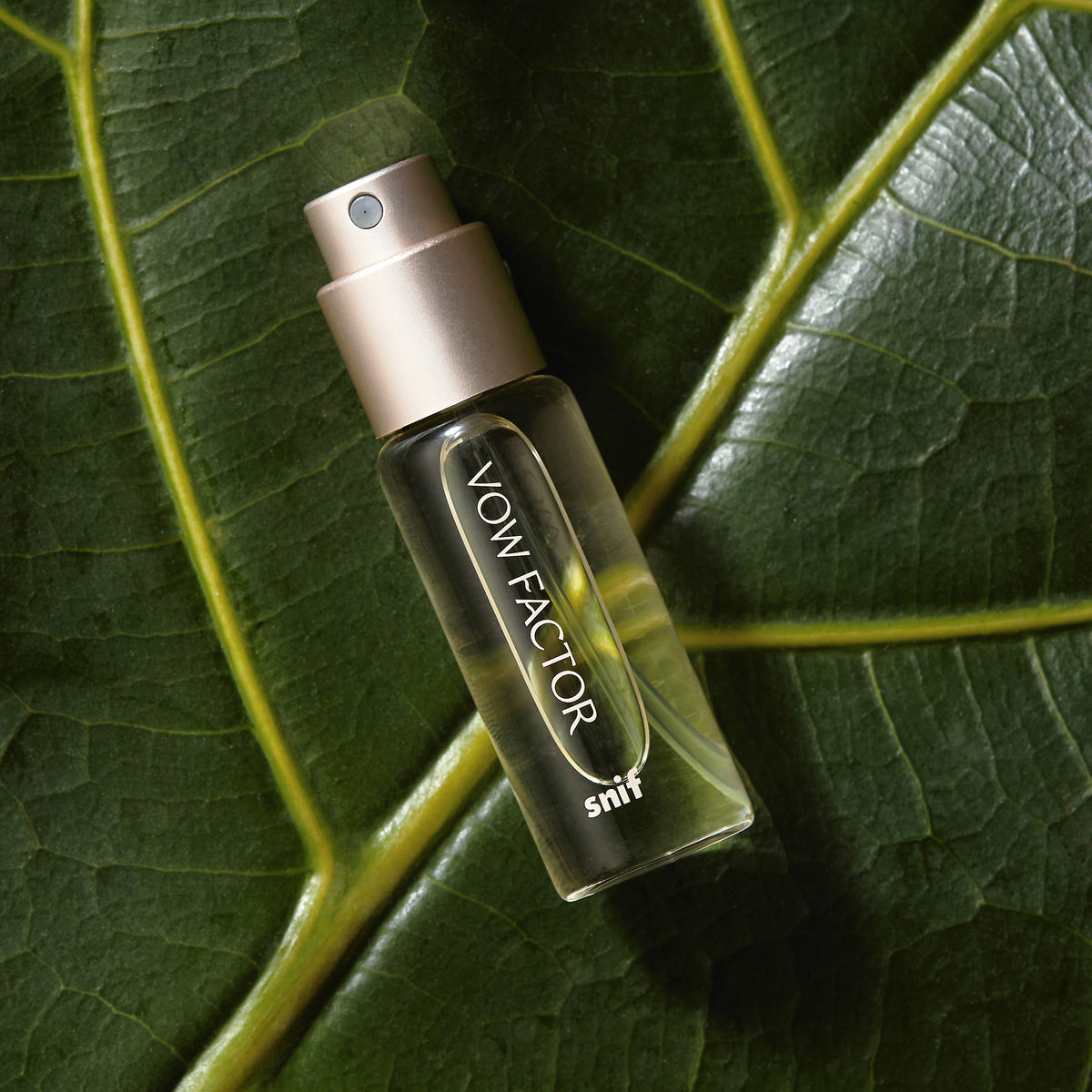 Professor Perfume Fragrance Bundle - Image 2